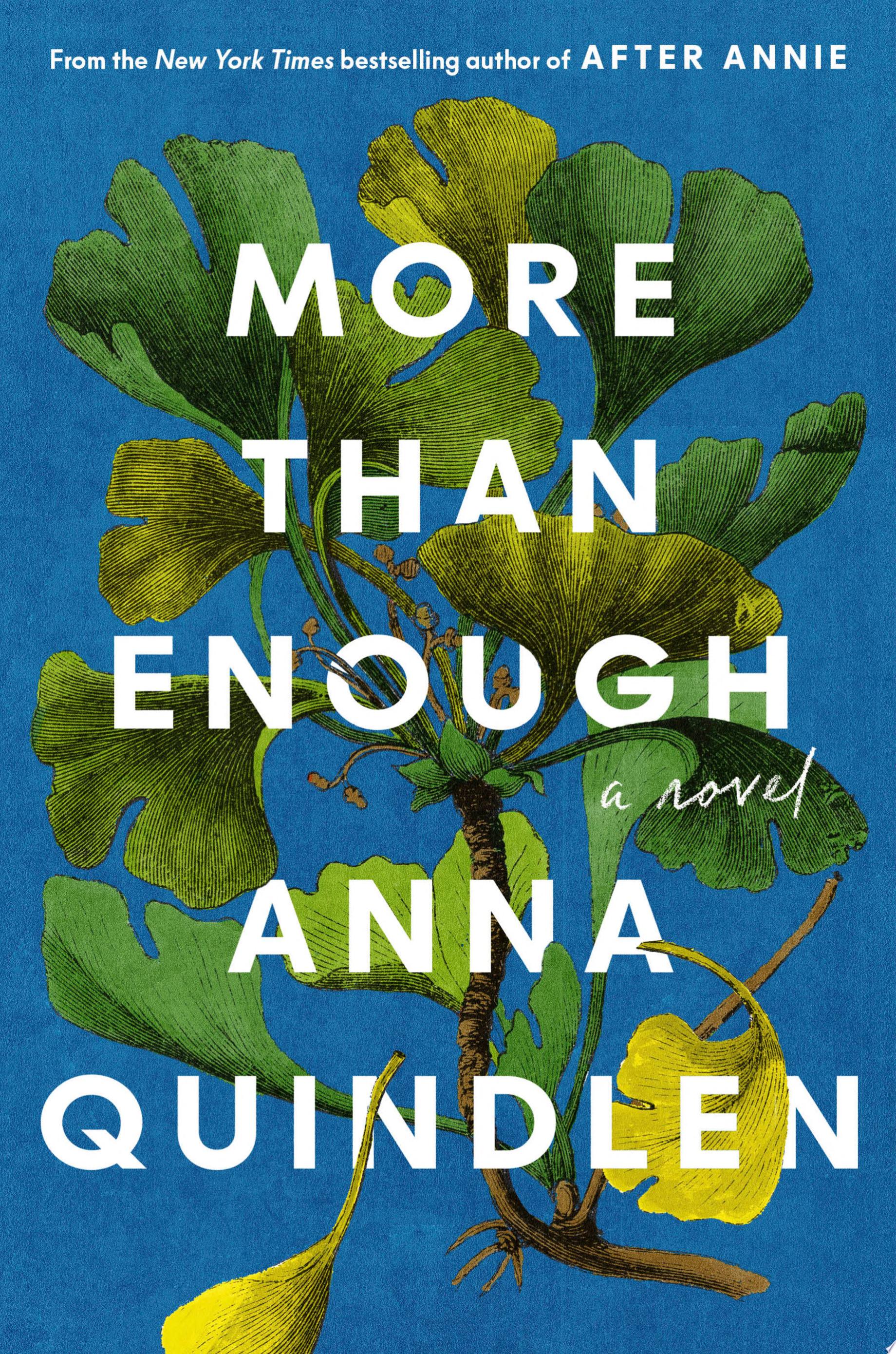 "More Than Enough" by Anna Quindlen