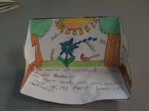 Drawing of a new plant along with short description.
