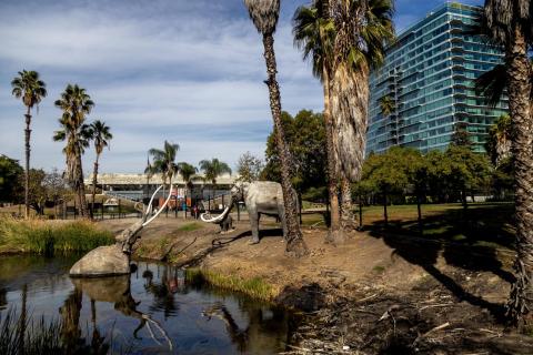 Photo of tar pit in Los Angeles