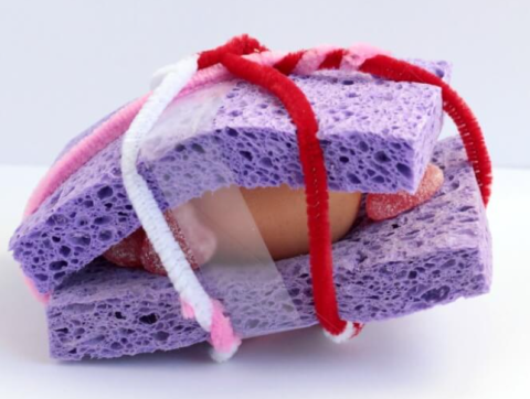 brown egg nestled gently inbetween sponges tied with yarn