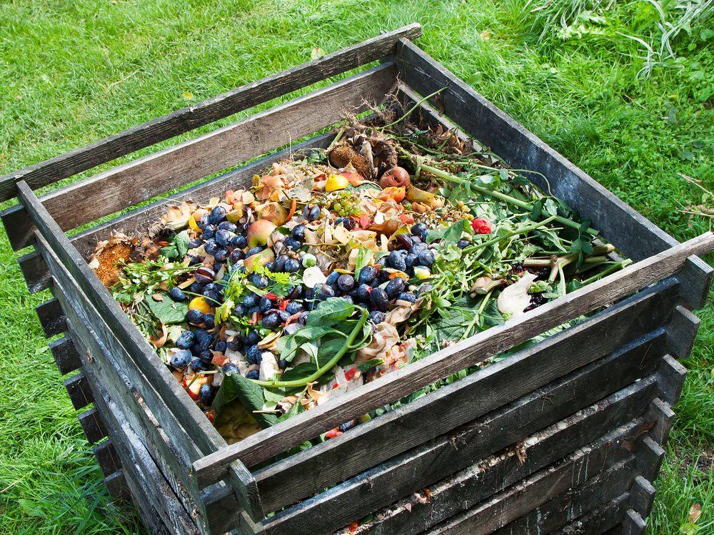 Photo of compost bin full of vegetable scraps
