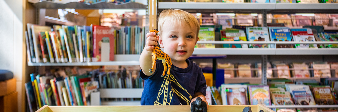 Young boy playing with toy animals in the library